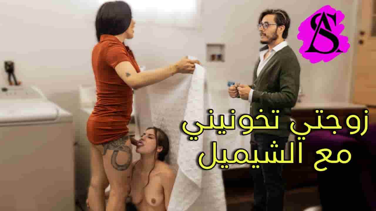 شيميل ينيك زوجتي داخل الغسالة – سكس مترجم شيميل ساخن